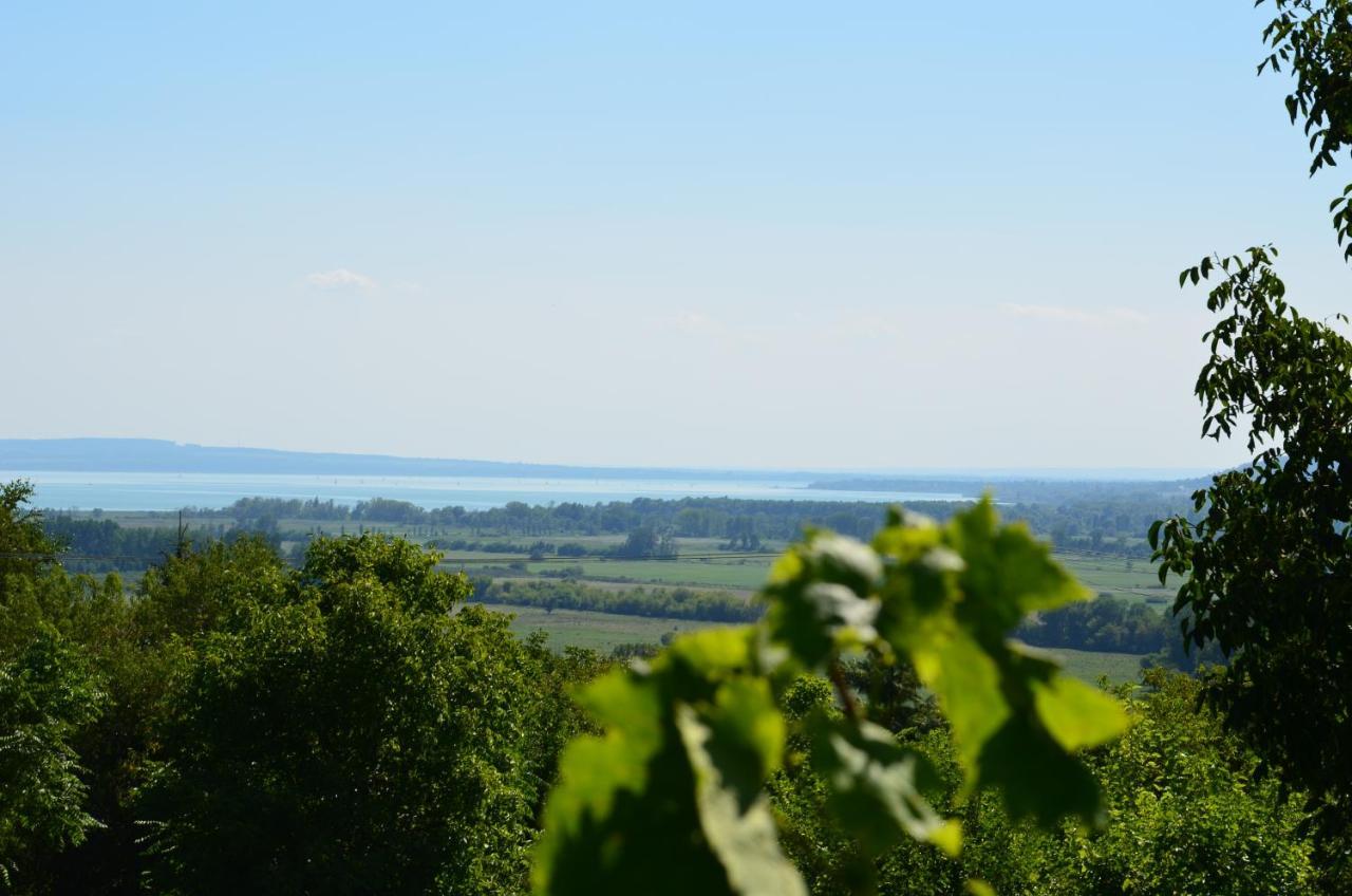 Grand Cru 3. Vendeghaz Villa Hegymagas Buitenkant foto