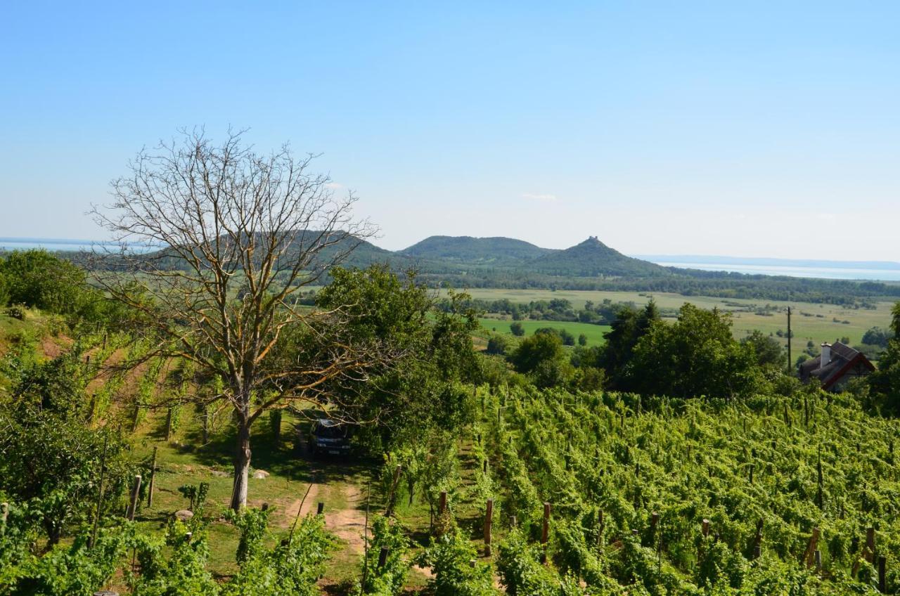 Grand Cru 3. Vendeghaz Villa Hegymagas Buitenkant foto