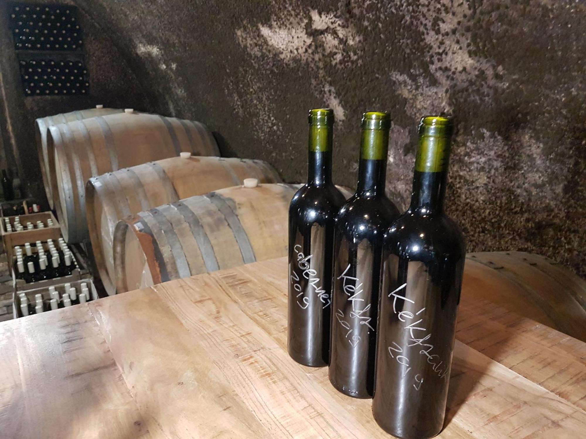 Grand Cru 3. Vendeghaz Villa Hegymagas Buitenkant foto