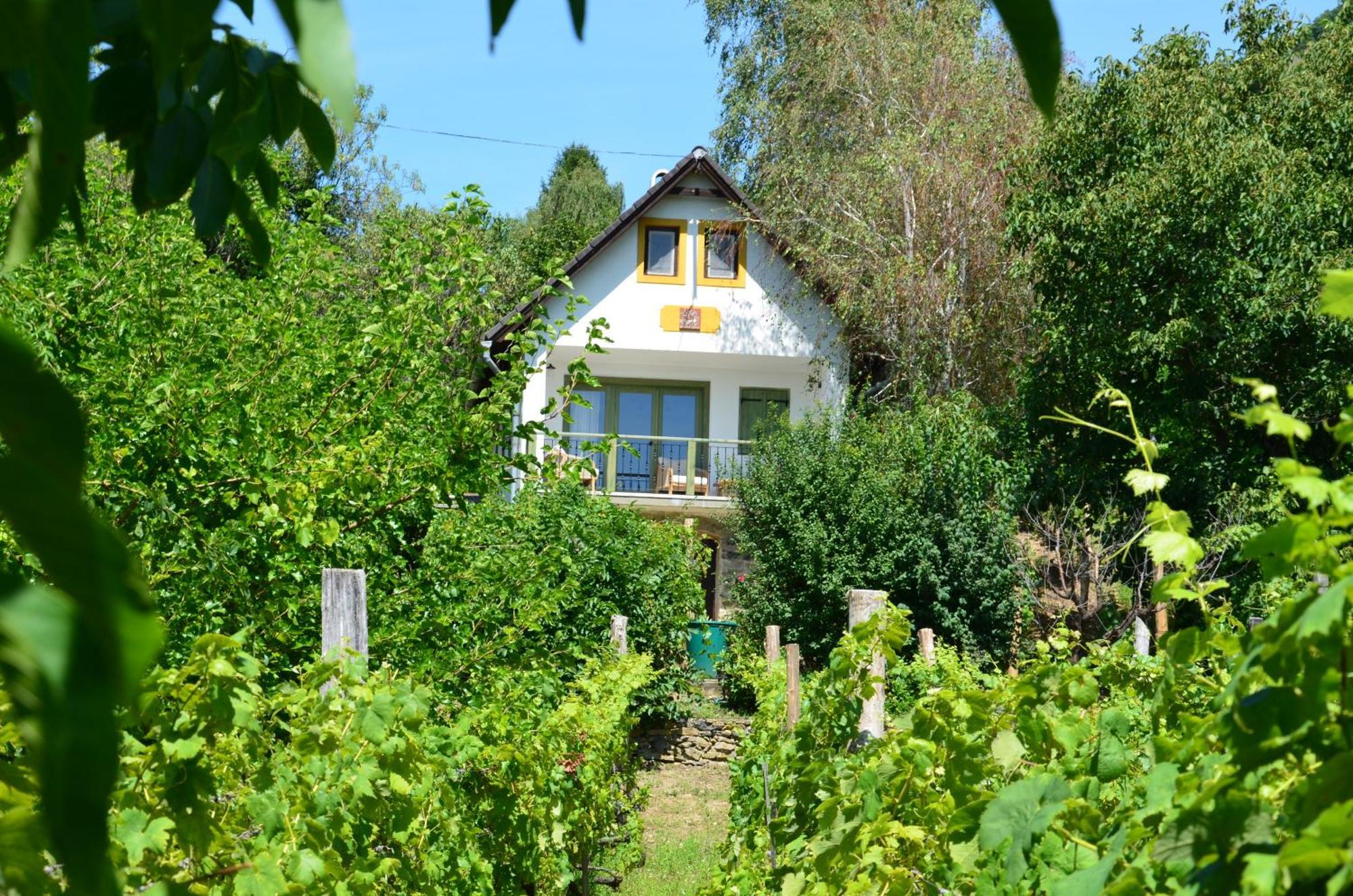 Grand Cru 3. Vendeghaz Villa Hegymagas Buitenkant foto